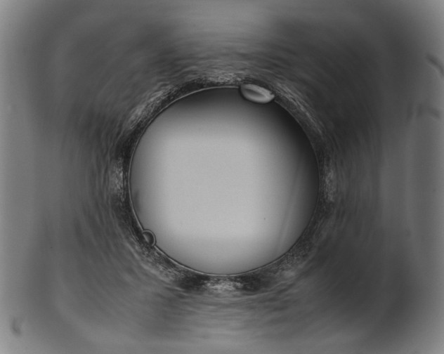 X0000101220407200807111101