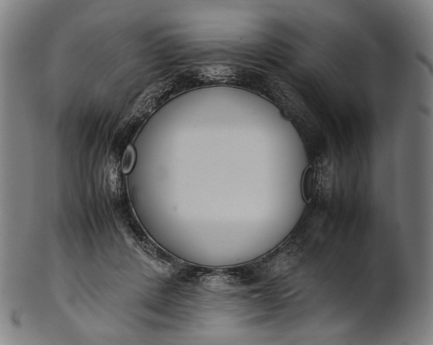 X0000101220408200807111101