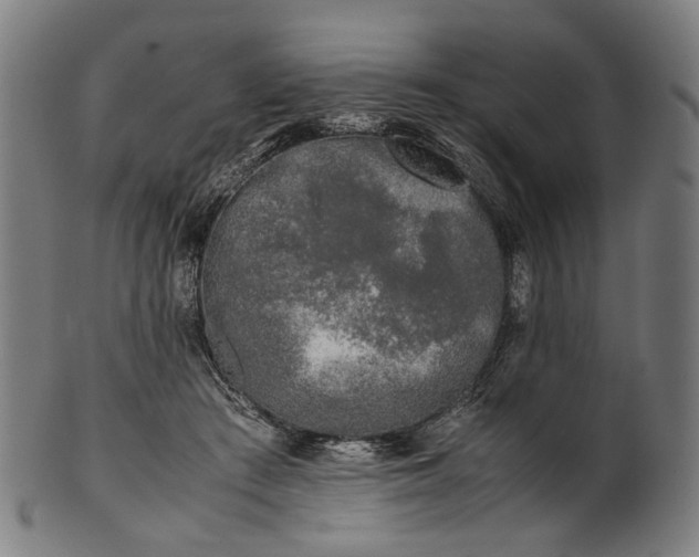 X0000101220409200807111101