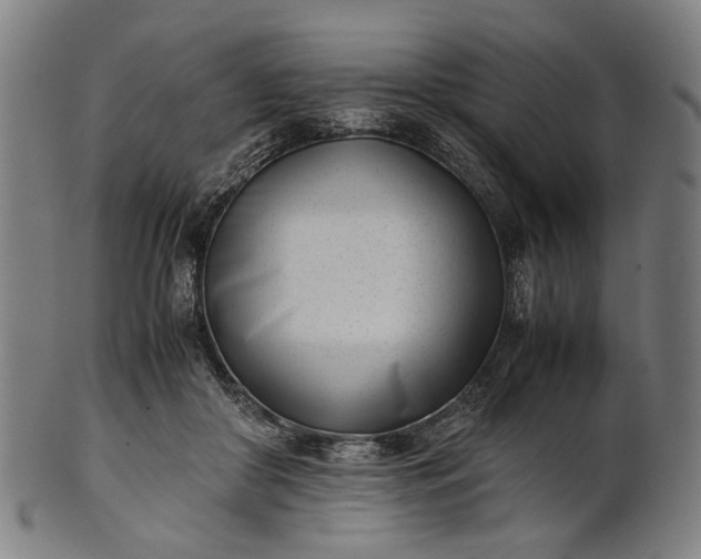 X0000101220410200807111101