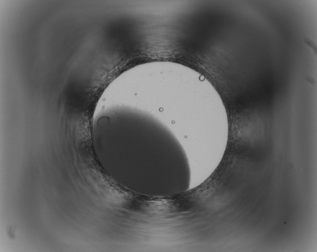 X0000101220411200807111101