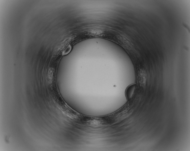 X0000101220412200807111101
