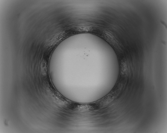 X0000101220414200807111101