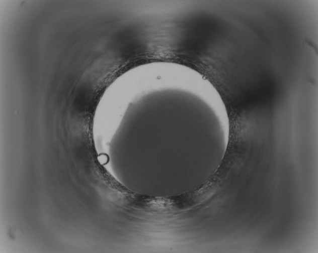 X0000101220415200807111101