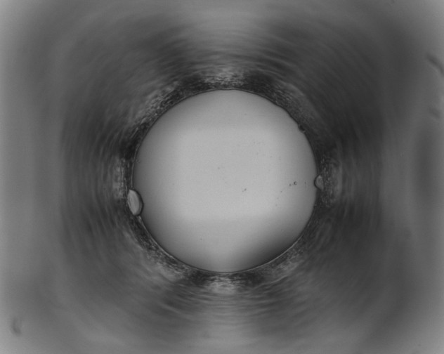 X0000101220416200807111101