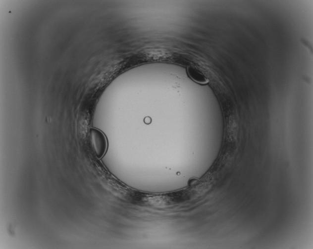 X0000101220417200807111101