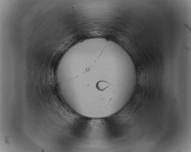 X0000101220418200807111101
