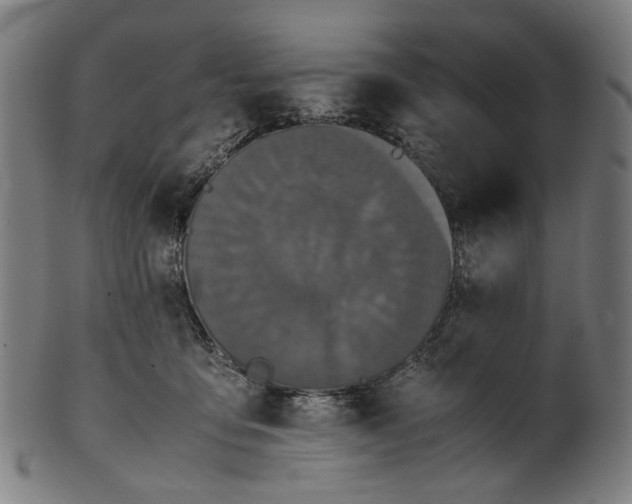 X0000101220419200807111101