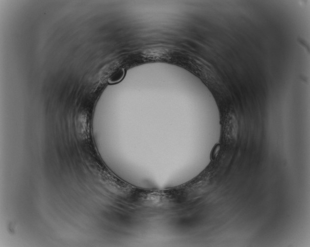 X0000101220420200807111101