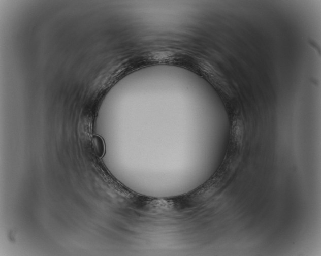 X0000101220421200807111101