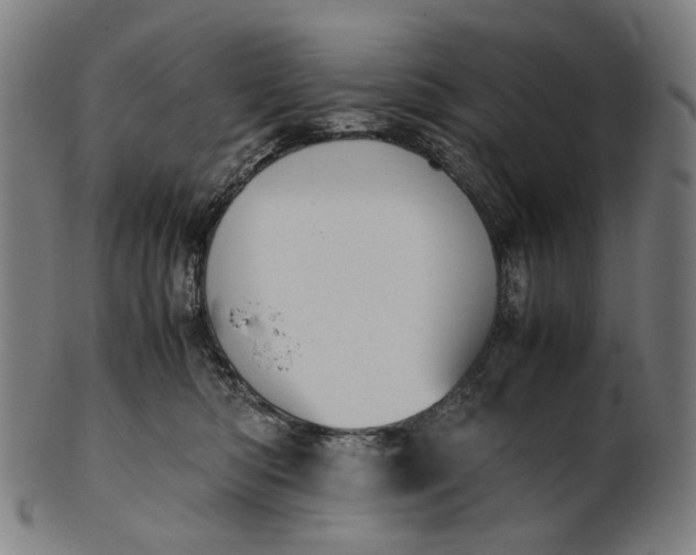 X0000101220422200807111101