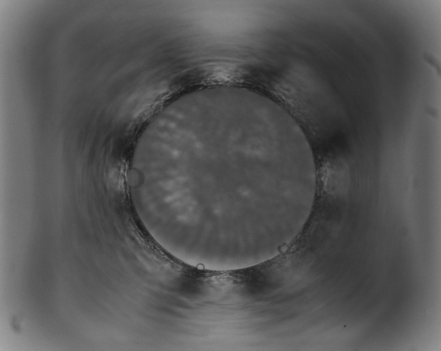 X0000101220423200807111101