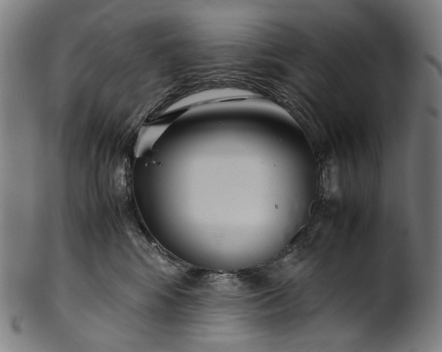 X0000101220424200807111101