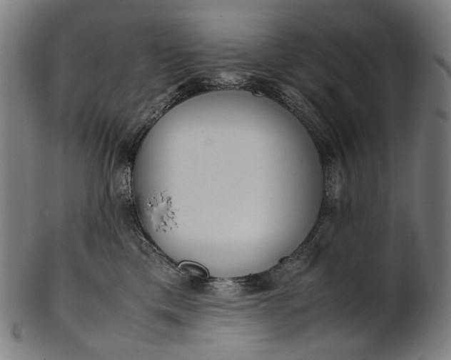 X0000101220425200807111101