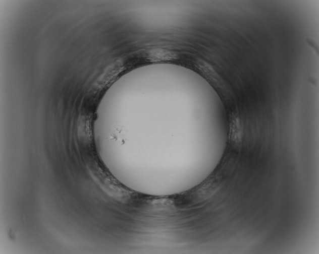 X0000101220426200807111101