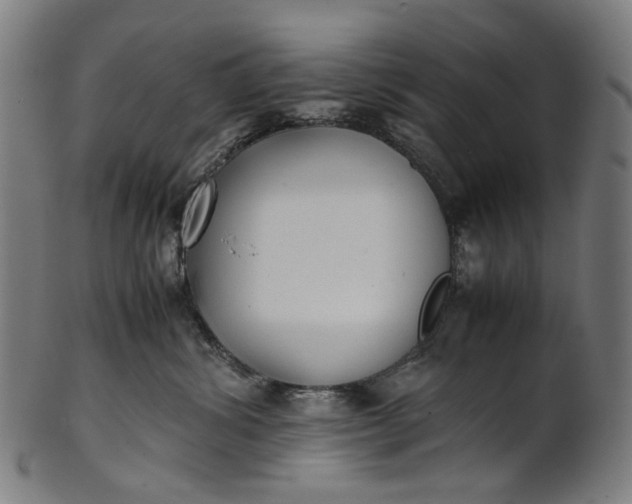 X0000101220428200807111101