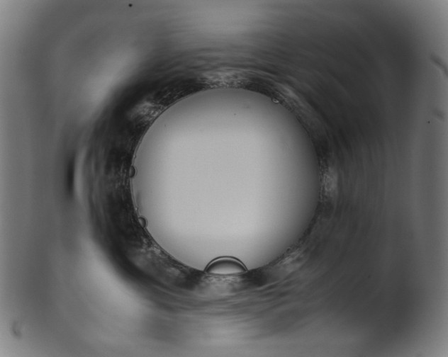 X0000101220429200807111101
