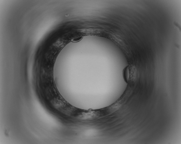 X0000101220430200807111101