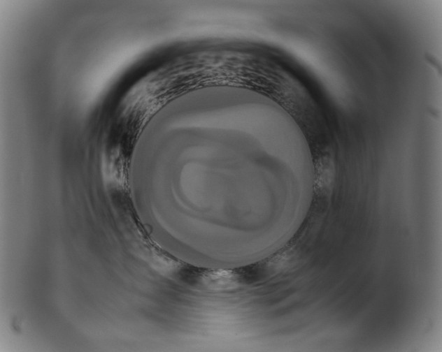 X0000101220431200807111101