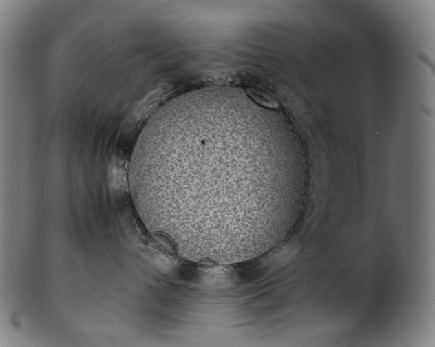 X0000101220432200807111101