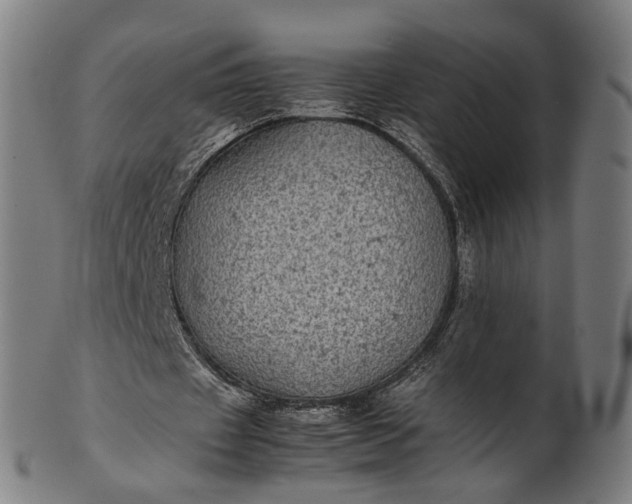 X0000101220433200807111100