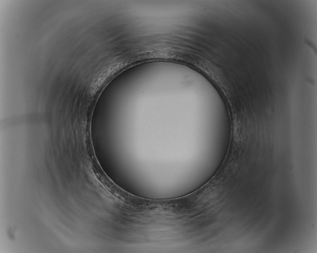X0000101220434200807111100