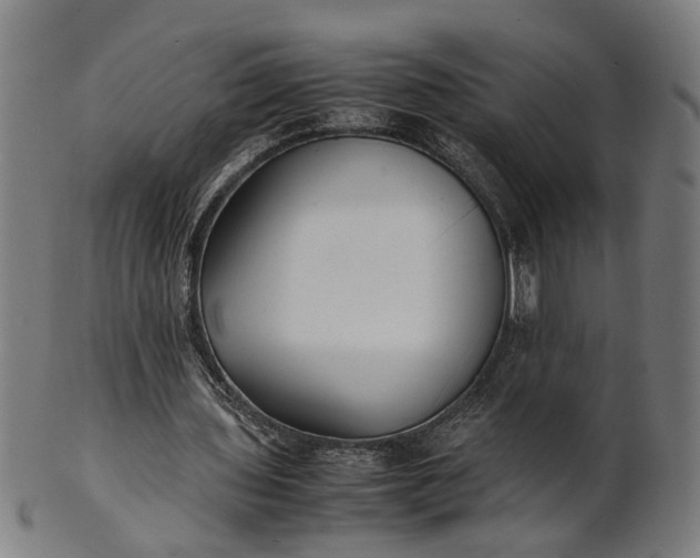 X0000101220435200807111100