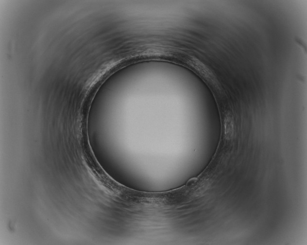 X0000101220436200807111100