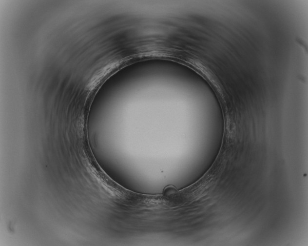 X0000101220437200807111100