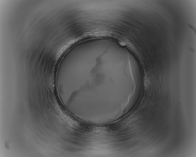 X0000101220438200807111100