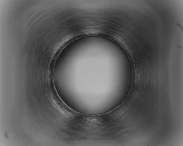 X0000101220439200807111100