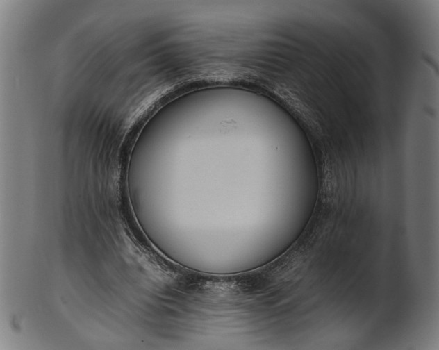 X0000101220440200807111100