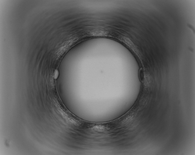 X0000101220441200807111100