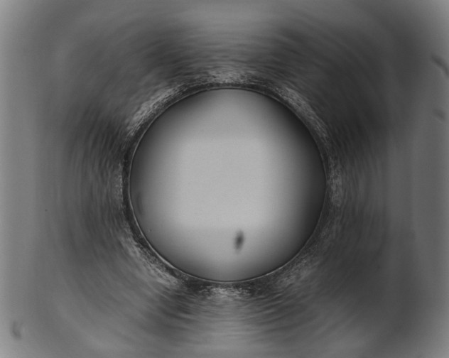 X0000101220442200807111100