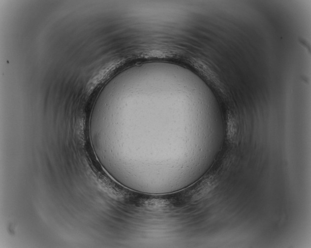 X0000101220444200807111100