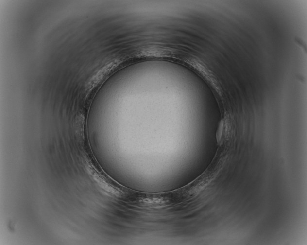 X0000101220445200807111100