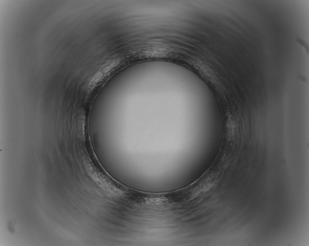 X0000101220446200807111100