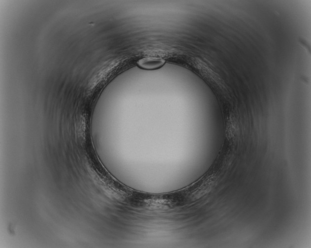 X0000101220448200807111100