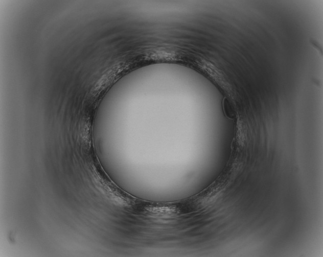 X0000101220449200807111100
