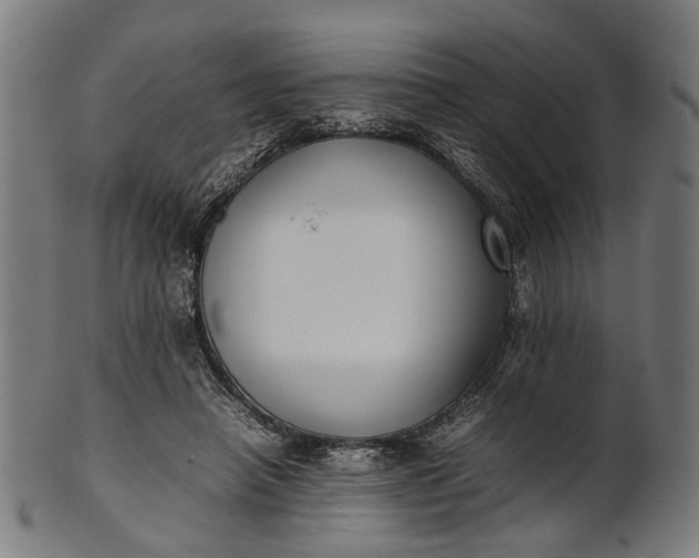 X0000101220450200807111100