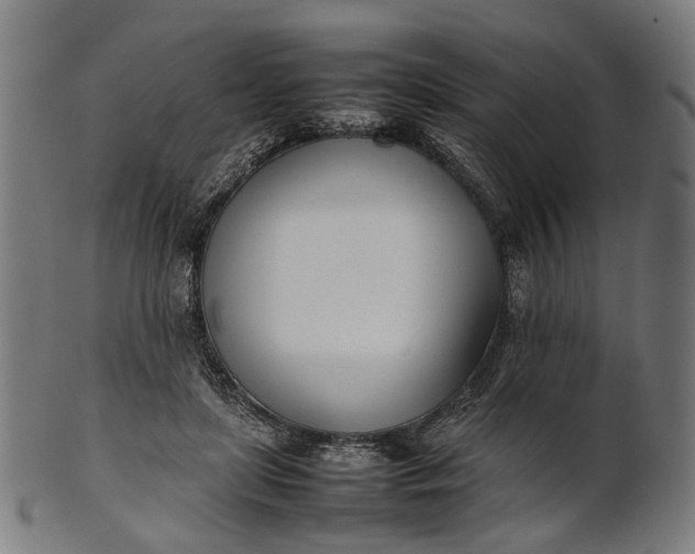 X0000101220451200807111100