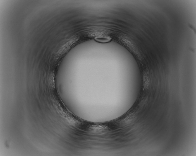X0000101220453200807111100
