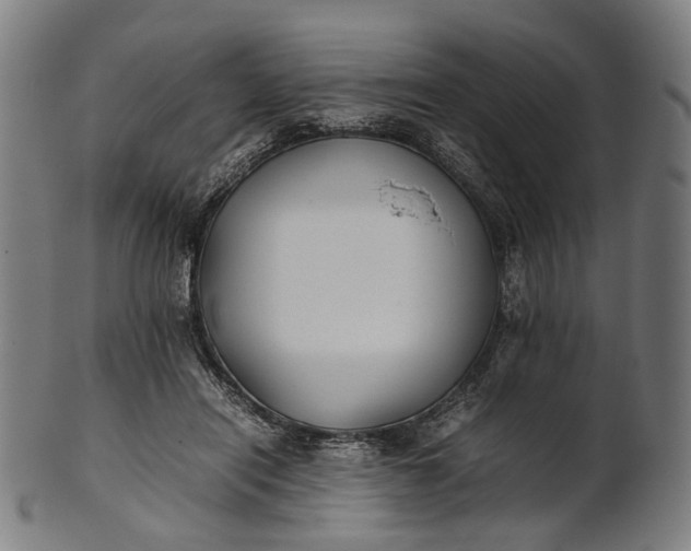 X0000101220454200807111100