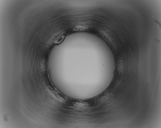 X0000101220455200807111100