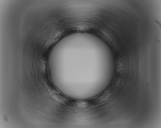 X0000101220456200807111101