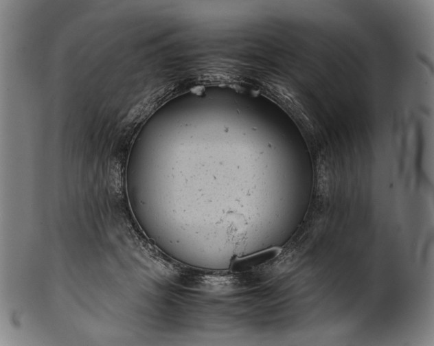 X0000101220457200807111101