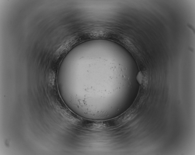 X0000101220458200807111101