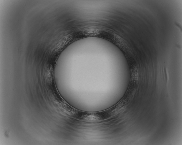 X0000101220460200807111101