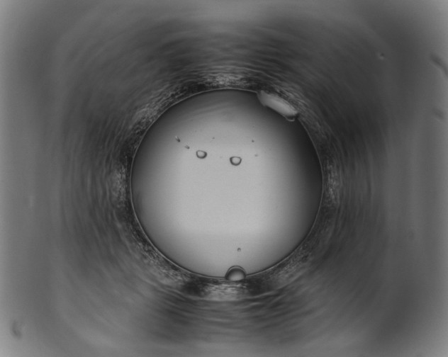 X0000101220461200807111101