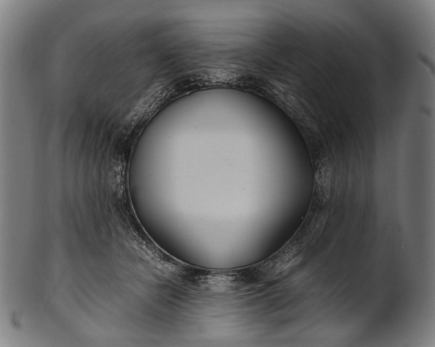 X0000101220462200807111101